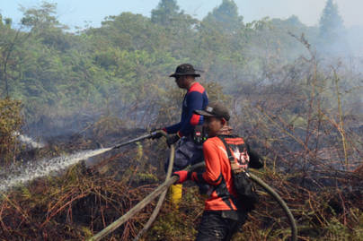 8 Ribu Hektare Hutan dan Lahan Terbakar pada 2025, Aceh Kini Terbakar Lagi