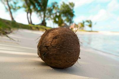 Harga Kelapa Naik, Apa yang Dirasakan Penjual Kelapa Bulat?