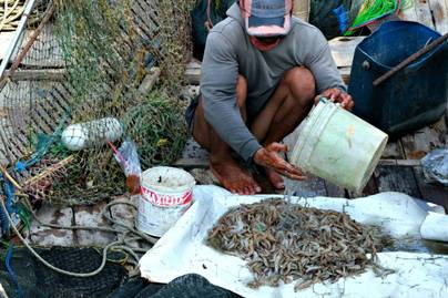 10 Sektor Lapangan Usaha dengan Pekerja Terbanyak pada 2025