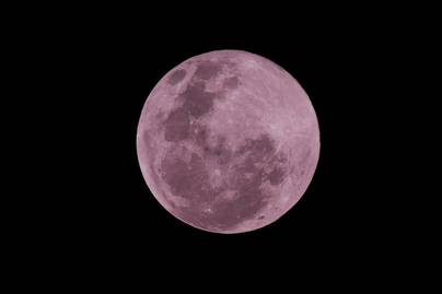 Jangan Terlewat! Fenomena Pink Moon Muncul 1-2 April, Ini Waktu Terbaik Melihatnya