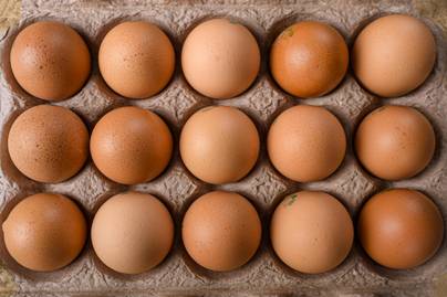 Produksi Telur Ayam di Indonesia Terus Naik 1 Dekade Terakhir
