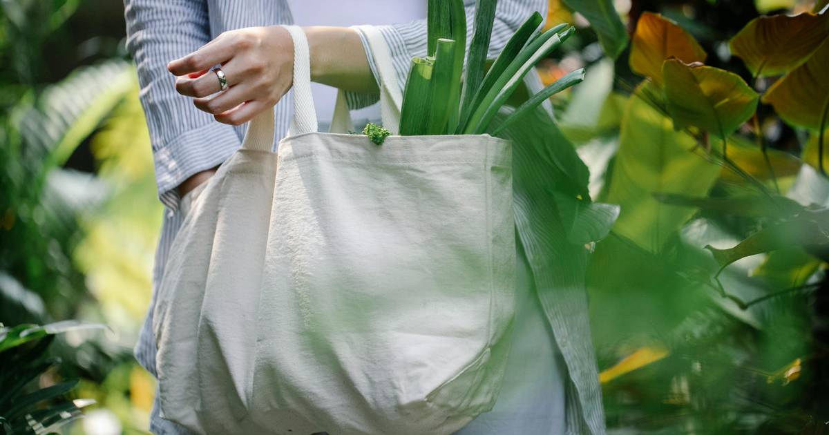 71% Publik RI Pakai Tas Reusable Imbas Kenaikan Harga Plastik