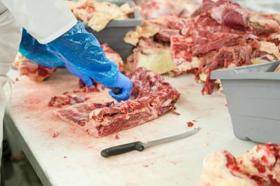 Produksi Daging Sapi di Indonesia Kembali Naik pada 2025, Nyaris Sentuh 500 Ribu Ton
