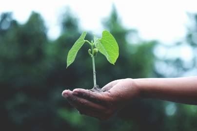 7 Hambatan dalam Penerapan Sustainable Living 2026, Faktor Ekonomi Nomor 1