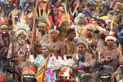 Tanah Papua Kehilangan 778 Ribu Ha Hutan Alam Sepanjang 2002-2025