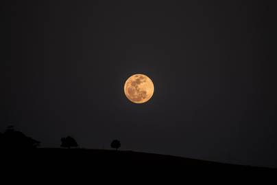 Fenomena Astronomi Juni 2026, Ada Hujan Meteor hingga Strawberry Moon!
