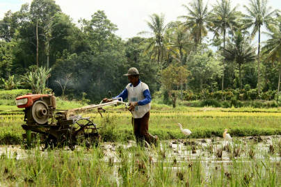 Jawa Timur Catat Kenaikan Daya Beli Petani Tertinggi di Jawa Mei 2026