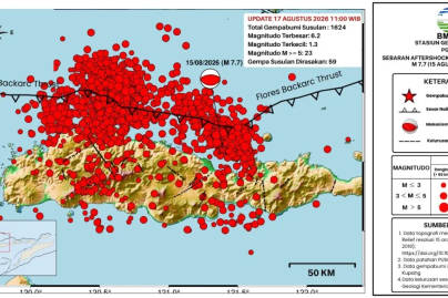 Gempa M7,7 Flores Picu Tsunami di 16 Lokasi, Gelombang Tertinggi Capai 1,6 Meter