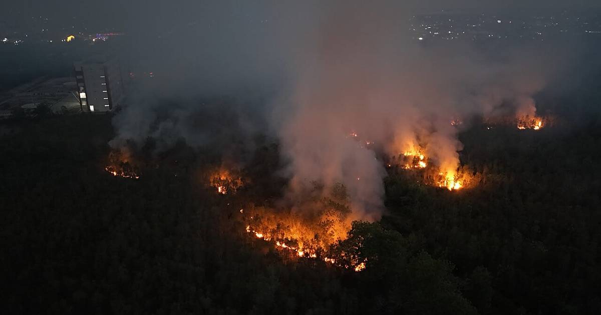 Luas Kebakaran Hutan Kalimantan Tembus 57 Ribu Ha hingga Juni 2026