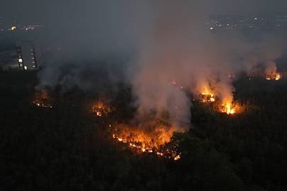 Luas Kebakaran Hutan Kalimantan Tembus 57 Ribu Ha hingga Juni 2026