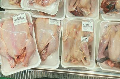 Tren Harga Daging Ayam Ras dan Kampung Semester I 2026