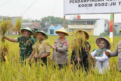 Daerah di Jakarta yang Paling Banyak Menghasilkan Padi dan Beras