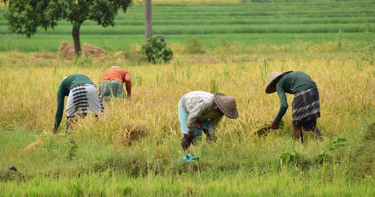 10 Provinsi dengan Nilai Tukar Petani Tertinggi pada September 2026
