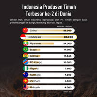 Indonesia Produsen Timah Terbesar ke-2 di Dunia