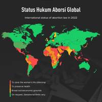 Status Hukum Aborsi Global