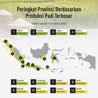 Provinsi dengan Penghasil Padi Tertinggi di Indonesia