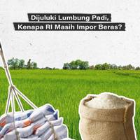 Dijuluki Lumbung Padi, Kenapa RI Masih Impor Beras?