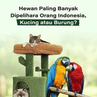 Hewan Paling Banyak Dipelihara Orang Indonesia, Kucing atau Burung?