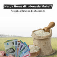 Harga Beras di Indonesia Mahal? Penyebab Kenaikan Belakangan Ini