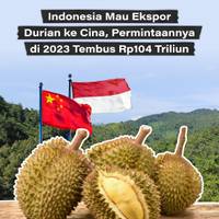 Indonesia Mau Ekspor Durian ke CIna, Permintaannya di 2023 Tembus Rp104 Triliun