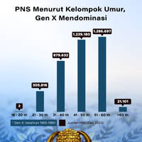 PNS Menurut Kelompok Umur, Gen X Mendominasi