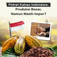 Potret Kakao Indonesia: Produksi Besar, Tapi Masih Impor?