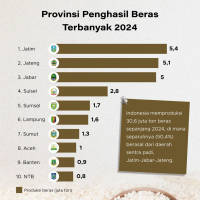 Provinsi Penghasil Beras Terbanyak 2024