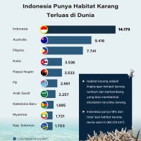 Indonesia Punya Habitat Karang Terluas di Dunia 2024