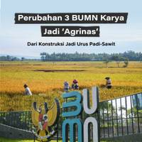 Perubahan 3 BUMN Karya jadi 'Agrinas', dari Konstruksi jadi Urus Padi-Sawit
