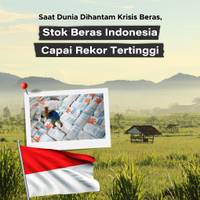 Saat Dunia Dihantam Krisis Beras, Stok Beras RI Capai Rekor Tertinggi