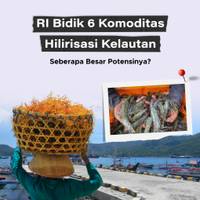 RI Bidik 6 Komoditas Hilirisasi Kelautan, Seberapa Besar Potensinya?