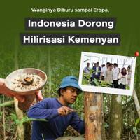 Wanginya Diburu sampai Eropa, Indonesia Dorong Hilirisasi Kemenyan