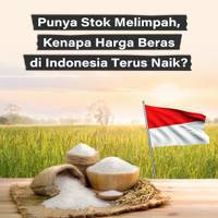 Punya Stok Melimpah, Kenapa Harga Beras di Indonesia Terus Naik?