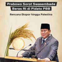 Prabowo Sorot Swasembada Beras RI di Pidato PBB, Rencana Ekspor hingga Palestina