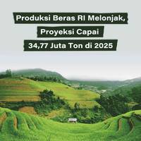 Produksi Beras RI Melonjak, Proyeksi Capai 34,77 Juta Ton di 2025