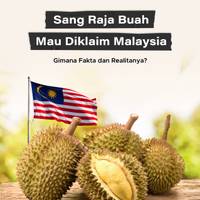 Sang Raja Buah Mau Diklaim Malaysia, Gimana Fakta dan Realitanya?