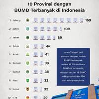 10 Provinsi dengan BUMD Terbanyak di Indonesia