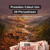 Presiden Cabut Izin 28 Perusahaan Terindikasi Perusak Lingkungan di Sumatra