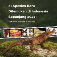 51 Spesies Baru Ditemukan di Indonesia Sepanjang 2025: 32 Fauna, 16 Flora, 3 Mikroba