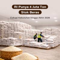 RI Punya 4 Juta Ton Stok Beras, Cukupi Kebutuhan hingga Akhir 2026