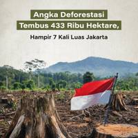 Angka Deforestasi Tembus 433 Ribu Hektare