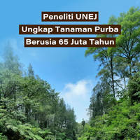Peneliti UNEJ Ungkap Tanaman Purba Berusia 65 Juta Tahun