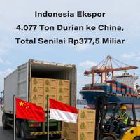 Indonesia Ekspor 4.077 Ton Durian ke China, Total Senilai Rp377,5 Miliar
