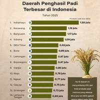 Daerah Penghasil Padi Terbesar di Indonesia 2025