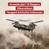 Armada dari 10 Negara Dikerahkan Tangani Karhutla Indonesia