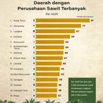 Daerah dengan Perusahaan Sawit Terbanyak