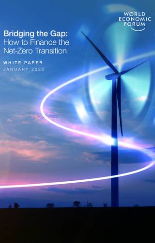 Sampul Bridging the Gap: How to Finance the Net-Zero Transition