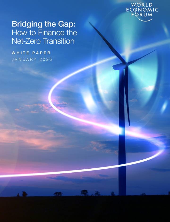 Sampul Bridging the Gap: How to Finance the Net-Zero Transition