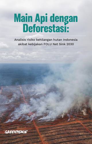 Sampul "Main Api dengan Deforestasi: Analisis risiko kehilangan hutan Indonesia akibat kebijakan FOLU Net Sink 2030"