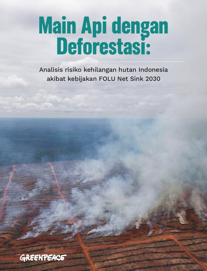 Sampul "Main Api dengan Deforestasi: Analisis risiko kehilangan hutan Indonesia akibat kebijakan FOLU Net Sink 2030"